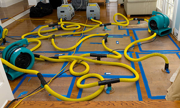 Professional Water Damage Restoration technician working in Cos Cob, CT